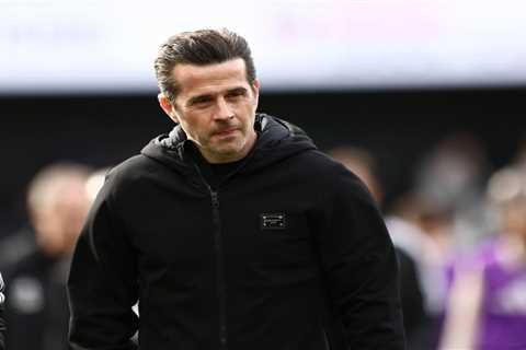 Fulham Manager Marco Silva Determined to Secure Contract for Star Player