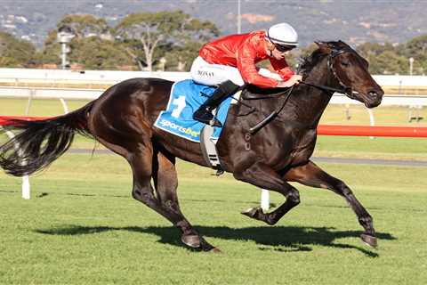 Wings Of Song Heads 2024 Australasian Oaks Field & Betting