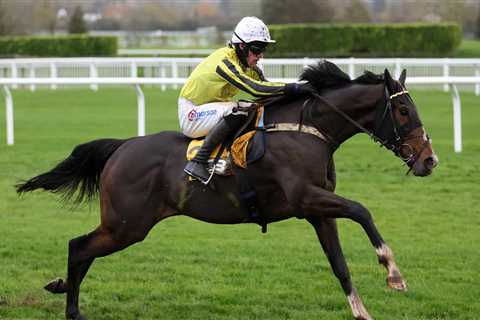 Dublin Racing Festival among options mooted for Burdett Road