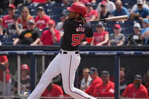 Washington Nationals Top 32 Prospects