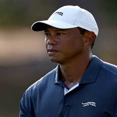 Tiger Woods SNUBS Ryder Cup captaincy with Zach Johnson replaced by star he brutally rejected on..