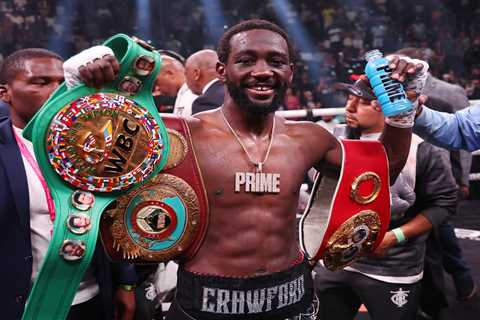 Terence Crawford Confirms Talks to Fight Conor McGregor in Boxing Match