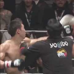 Referee Takes Brutal Punches During Boxing Match in Japan