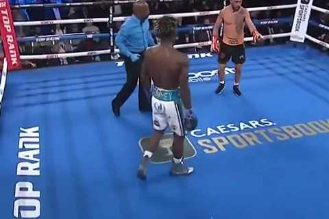 Vasiliy Lomachenko's Plea for Mercy Ignored by Opponent's Corner