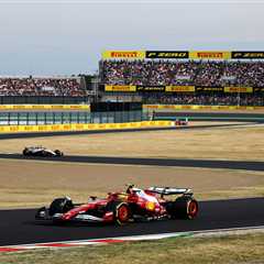 Verstappen's Insane Pole Amid Suzuka's Grass Inferno Chaos