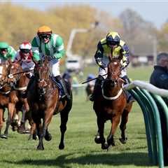 Scottish Grand National 2025: The Mayhem, Money, and Muddy Finish at Ayr