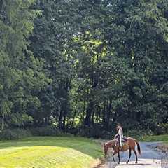 The Impact of Horse Industries on the Local Economy of Beaver County, Pennsylvania