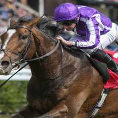Bookies in a frenzy as O'Brien's Gold Cup favourite Kyprios drifts dramatically while Illinois..