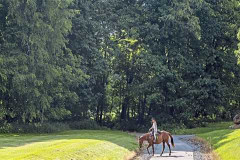The Impact of Horse Industries on the Local Economy of Beaver County, Pennsylvania