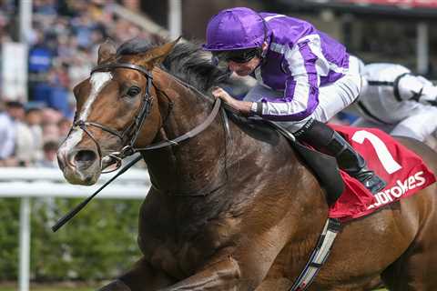 Bookies in a frenzy as O'Brien's Gold Cup favourite Kyprios drifts dramatically while Illinois..