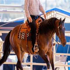 The Unsung Heroes of Horse Shows in Southwestern Missouri