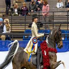 The Best Horse Shows in Southwestern Missouri