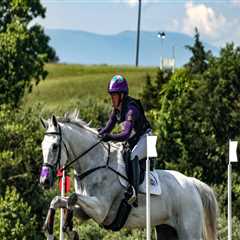 Horse Shows in Southwestern Missouri: A Beginner's Guide