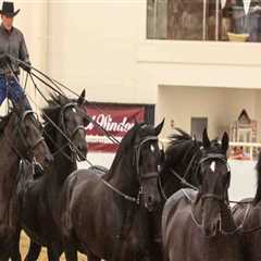 The Fascinating World of Horse Shows in Southwestern Missouri