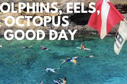 Molokini Snorkeling Tour (Maui) | Is a Molokini Crater Snorkel Trip Worth It?