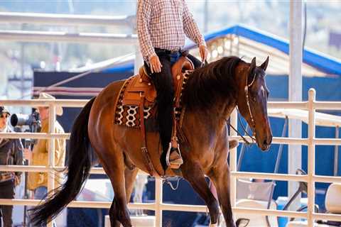 The Unsung Heroes of Horse Shows in Southwestern Missouri