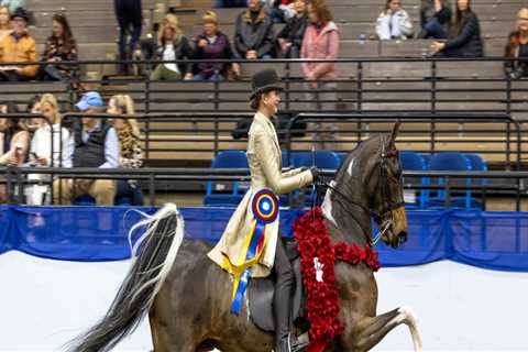 The Best Horse Shows in Southwestern Missouri