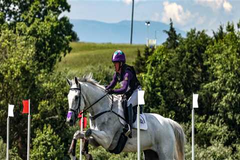 The Ultimate Guide to Age Divisions for Riders at Horse Shows in Southwestern Missouri