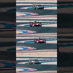 Why have one Ferrari when you can have four? 🤩 #WEC #Ferrari499P #Ferrari296GT3 #FerrariHypercar