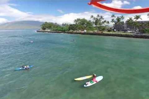 Beginner Surfers at Cove Park-Maui