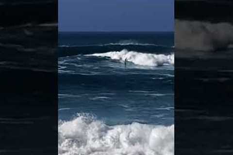 Waimea Bay Surfing | 1.12.2023 #hawaii #beach #oahu #surfing