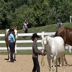 Making Horse Shows in Northeast Ohio Accessible for Disabled Riders