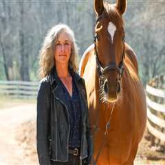 Uncovering the Thrill: Where to Discover Results from Past Horse Shows in Northeast Ohio