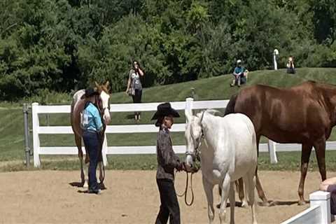 Making Horse Shows in Northeast Ohio Accessible for Disabled Riders