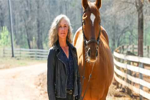 Uncovering the Thrill: Where to Discover Results from Past Horse Shows in Northeast Ohio