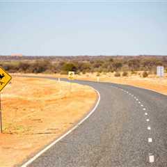 Are Bull Bars Worth It?